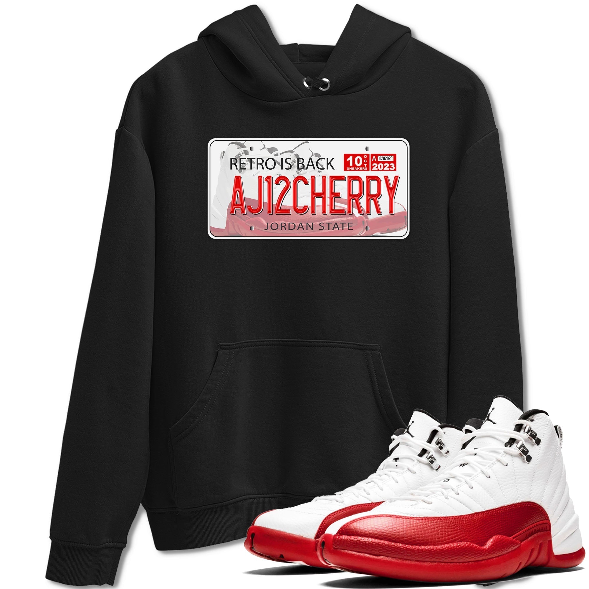 Jordan Plate snkmatch Tee - Air Jordan 12 Cherry