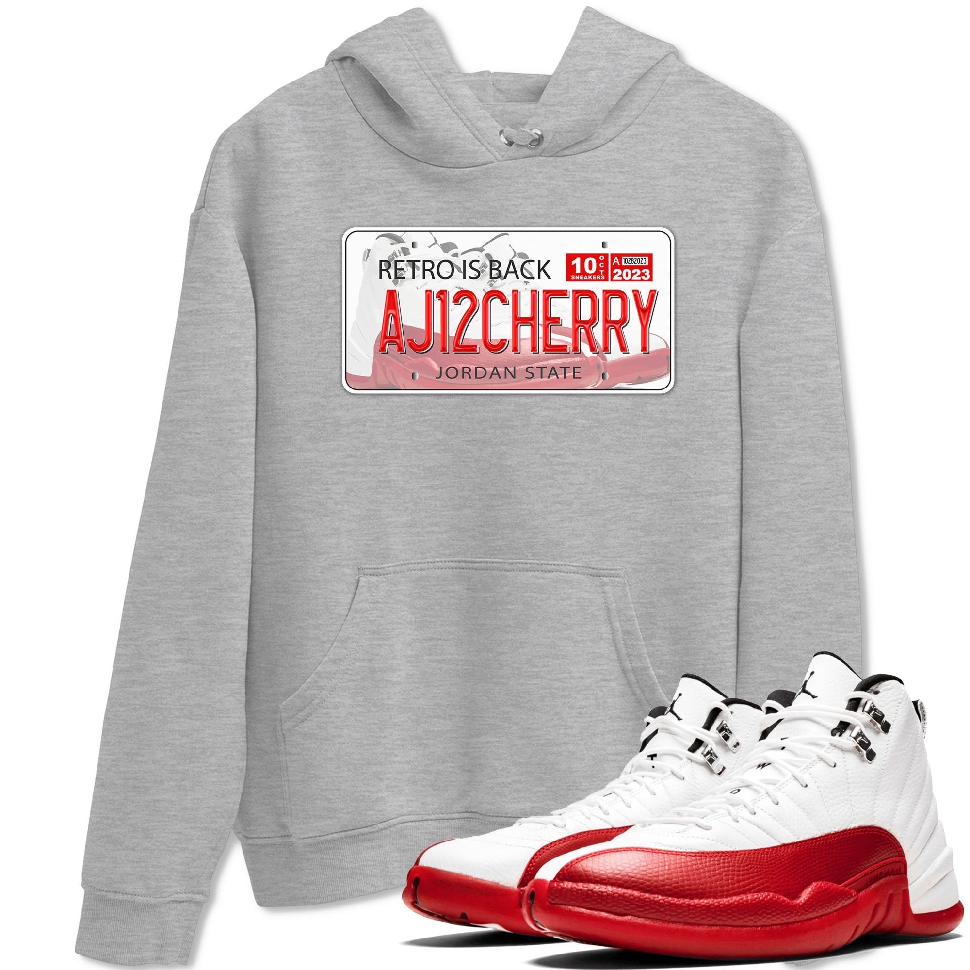 Jordan Plate snkmatch Tee - Air Jordan 12 Cherry