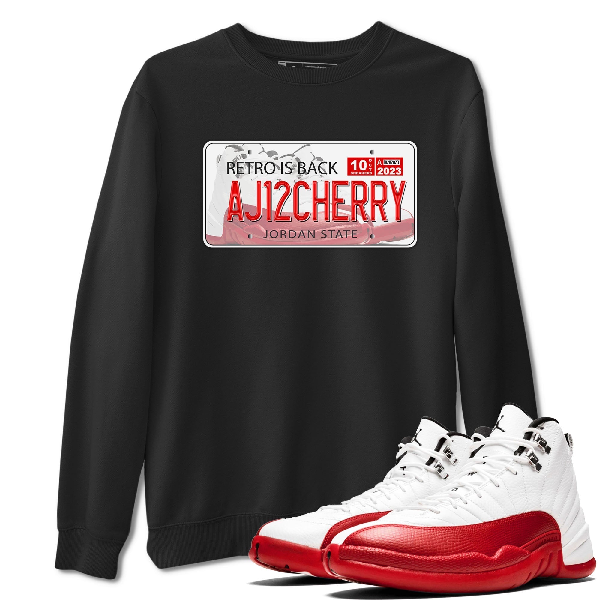 Jordan Plate snkmatch Tee - Air Jordan 12 Cherry