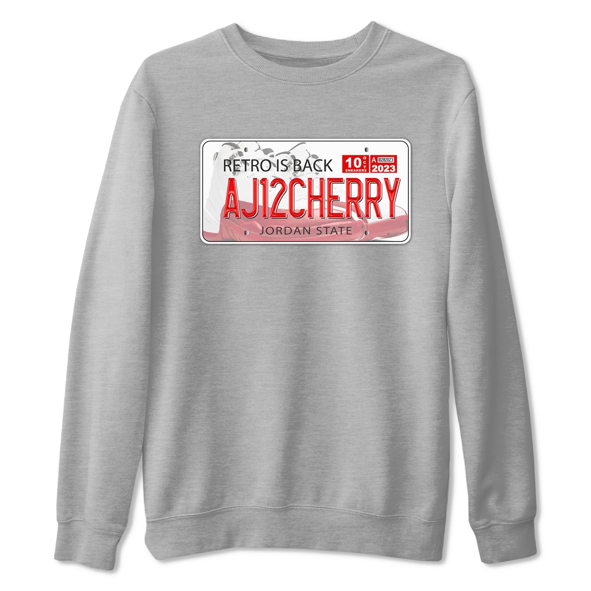 Jordan Plate snkmatch Tee - Air Jordan 12 Cherry