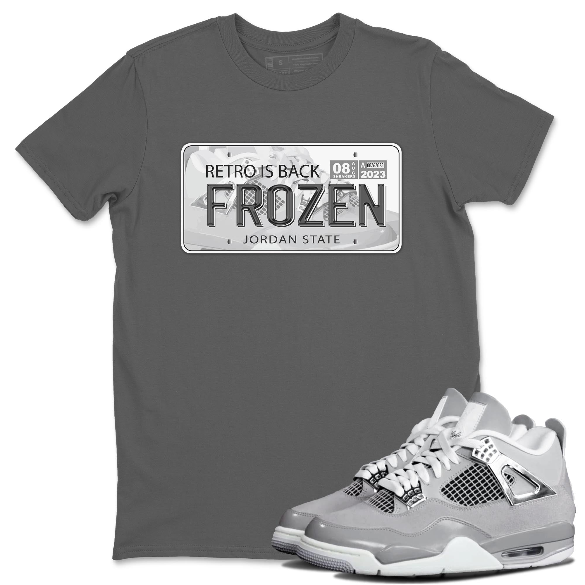 Jordan Plate snkmatch Tee - Air Jordan 4 Frozen Moments