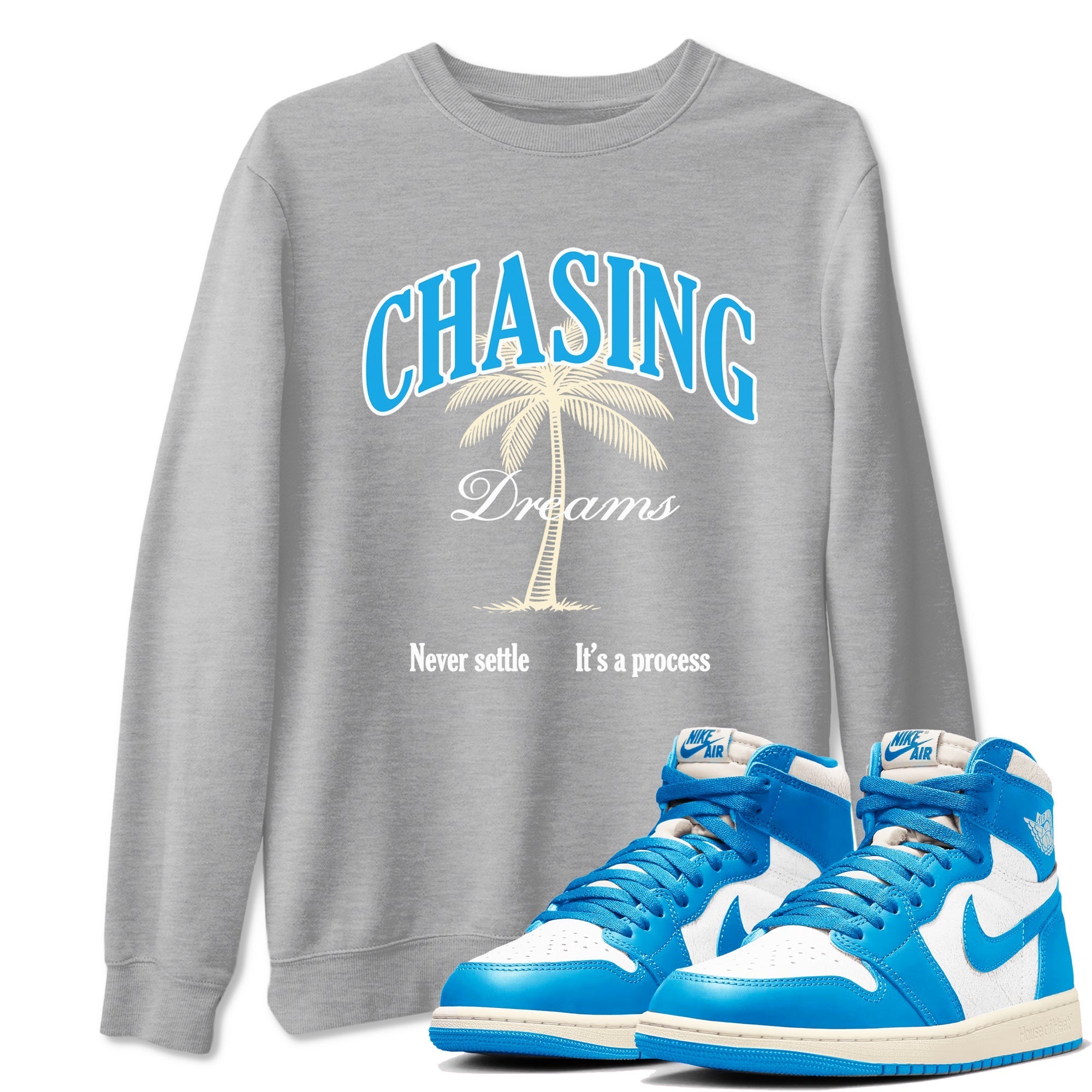Chasing Dreams snkmatch Tees - Air Jordan 1 UNC Reimagined