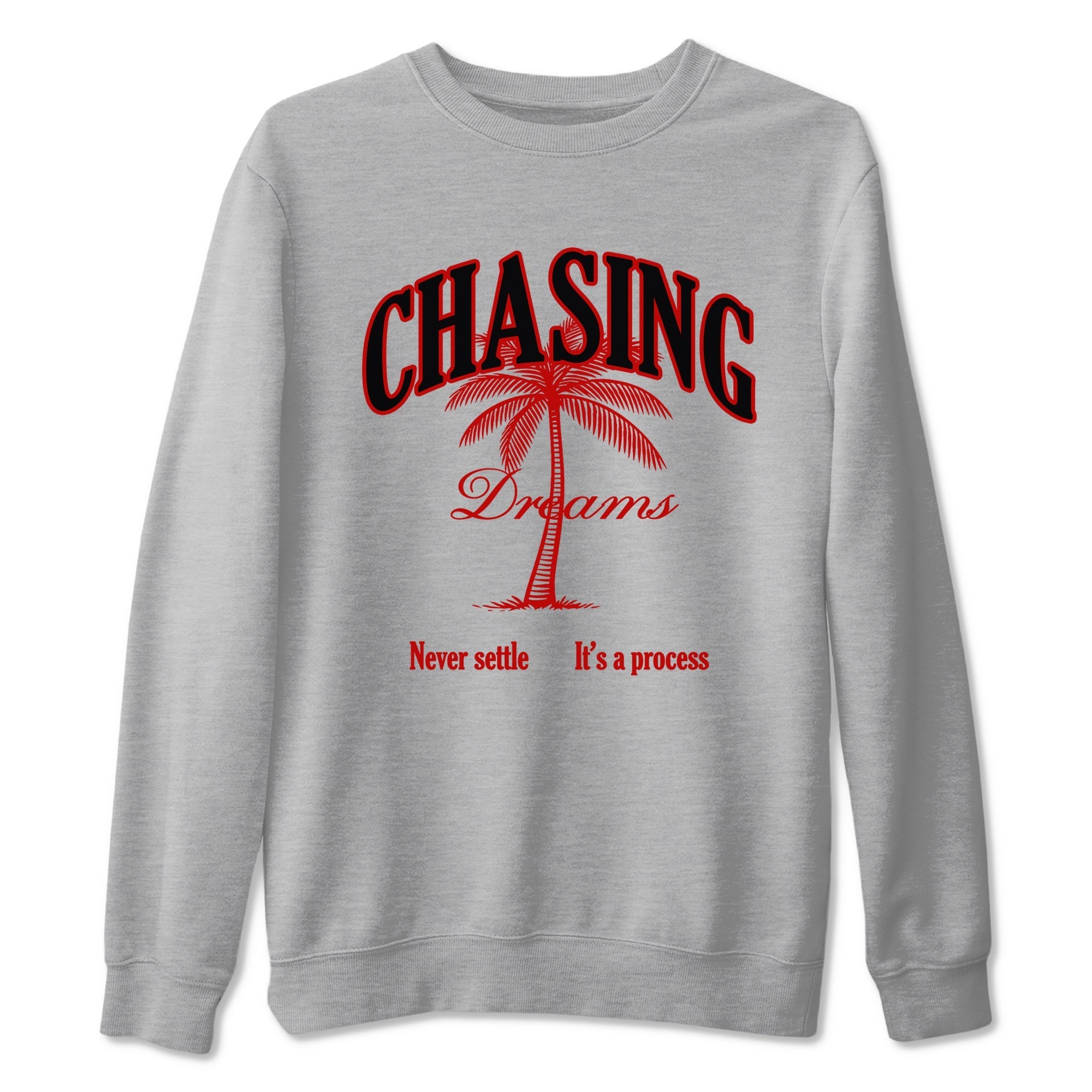 Chasing Dreams snkmatch Tees - Air Jordan 11 Bred