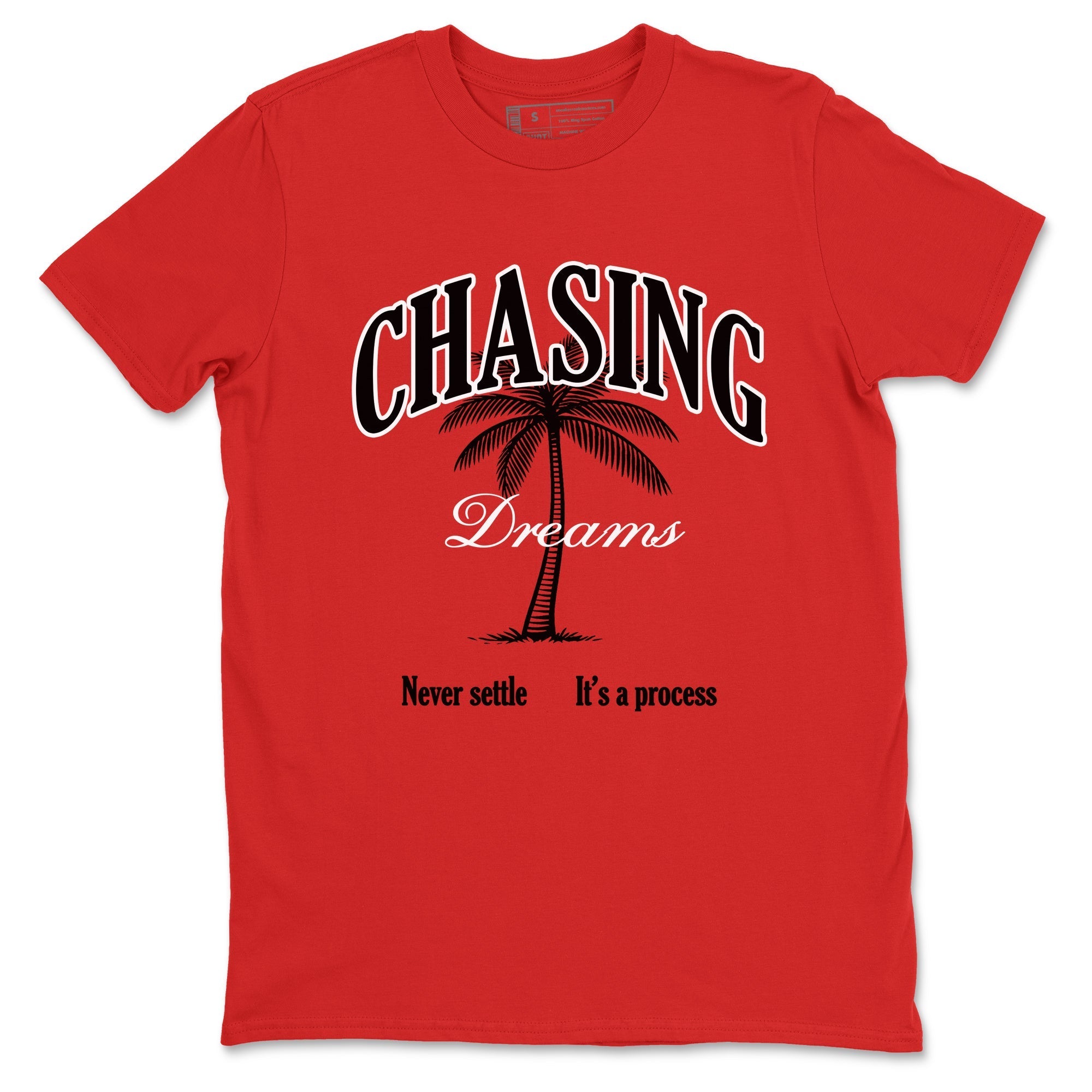 Chasing Dreams snkmatch Tees - Air Jordan 11 Bred