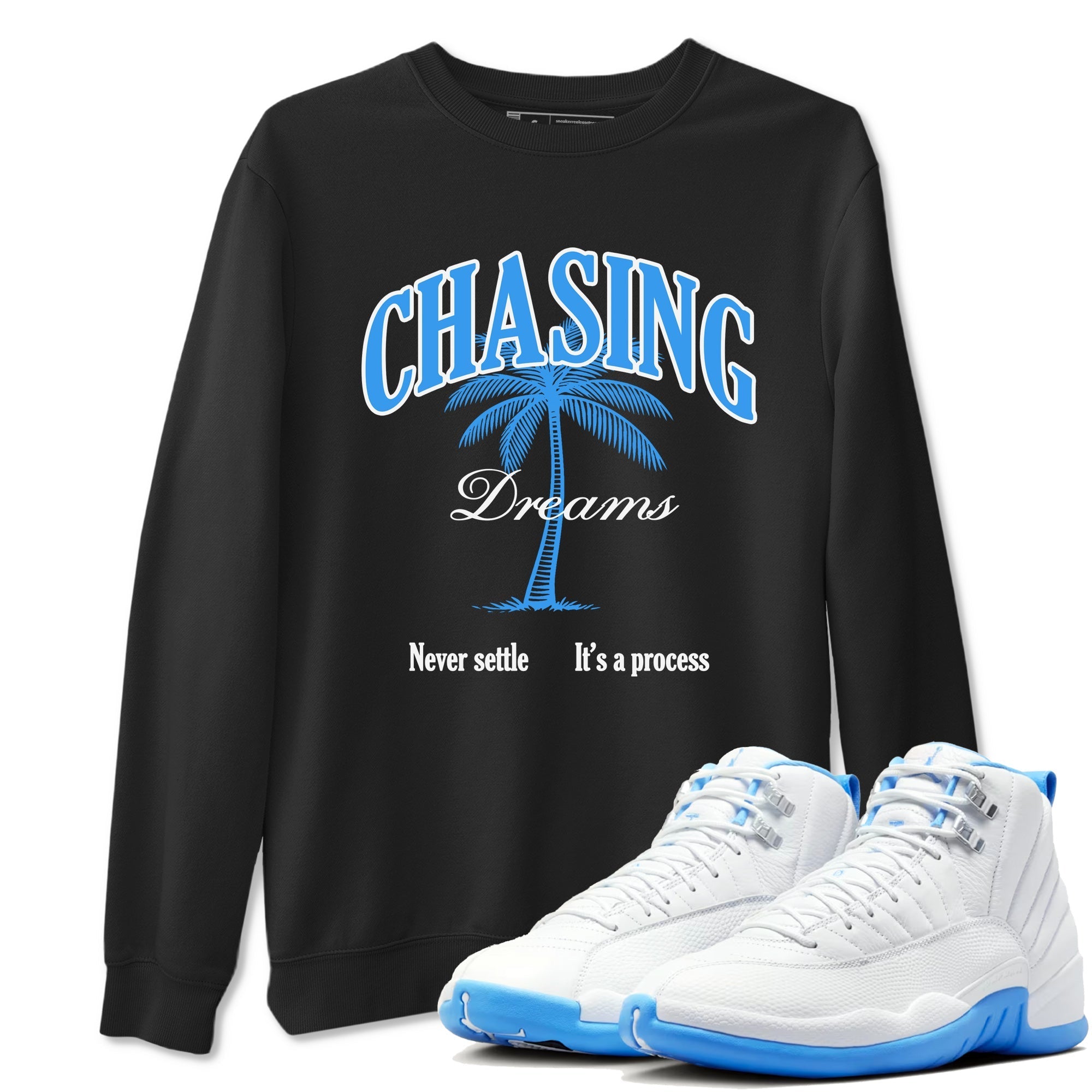 Chasing Dreams snkmatch Tees - Air Jordan 12 White and University Blue