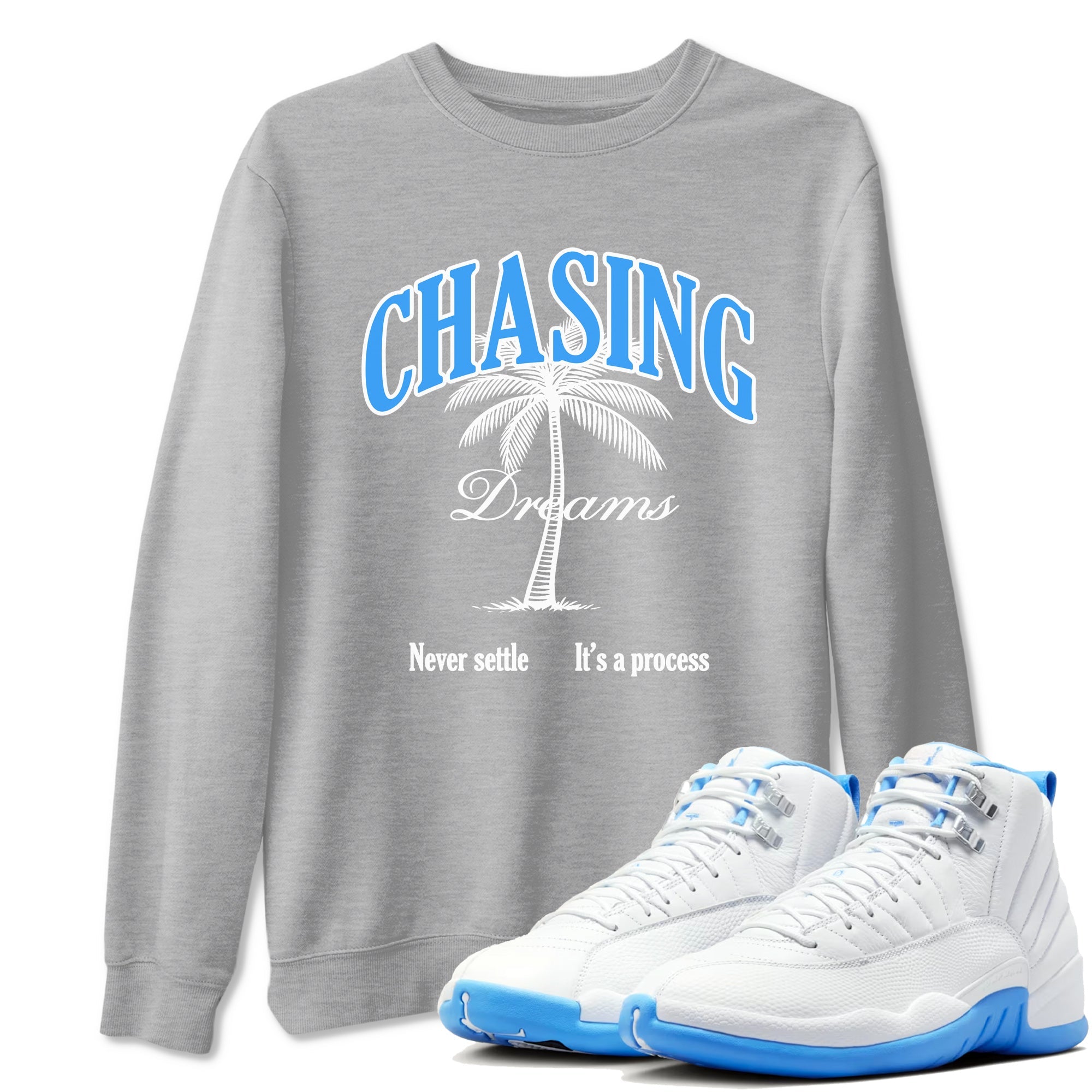 Chasing Dreams snkmatch Tees - Air Jordan 12 White and University Blue