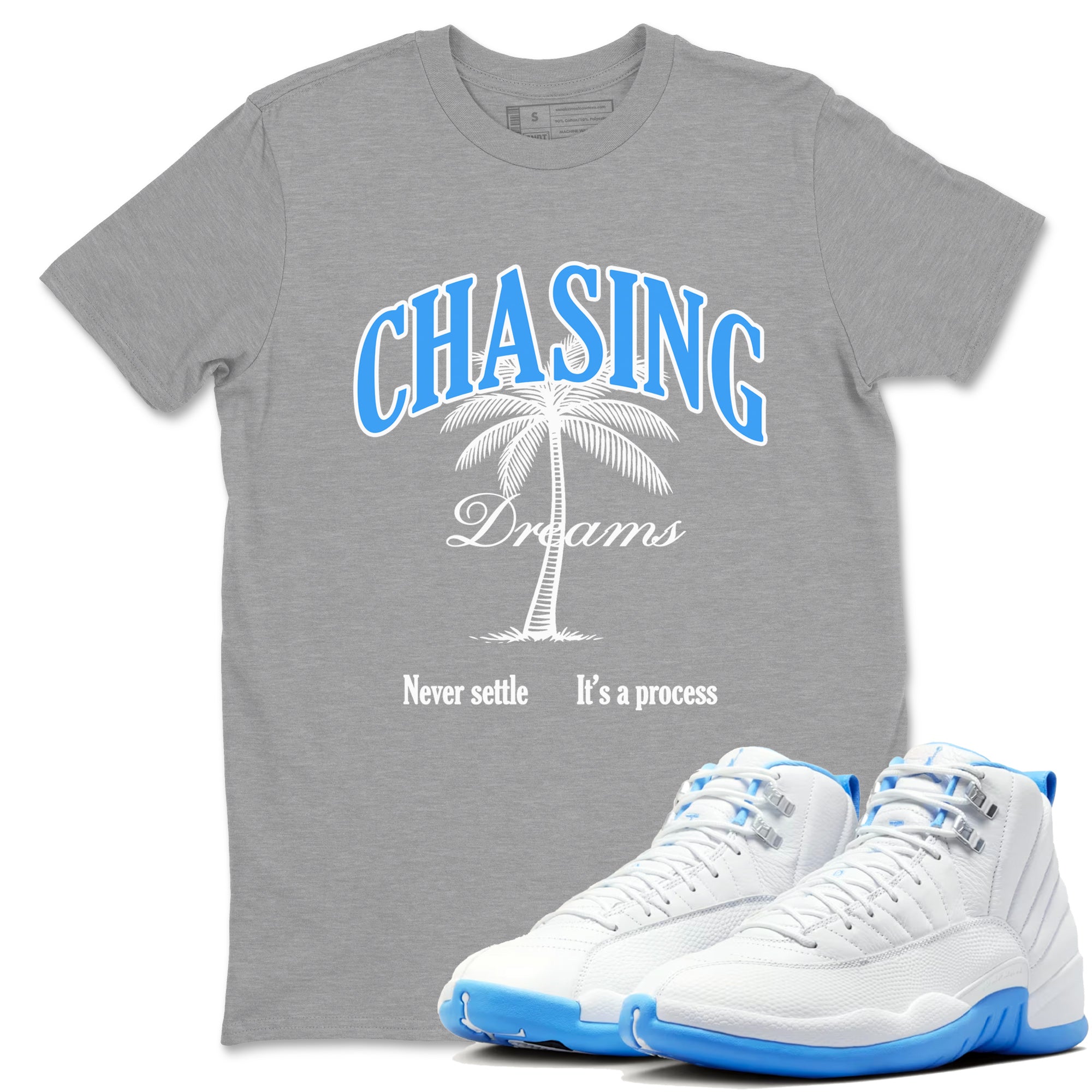 Chasing Dreams snkmatch Tees - Air Jordan 12 White and University Blue