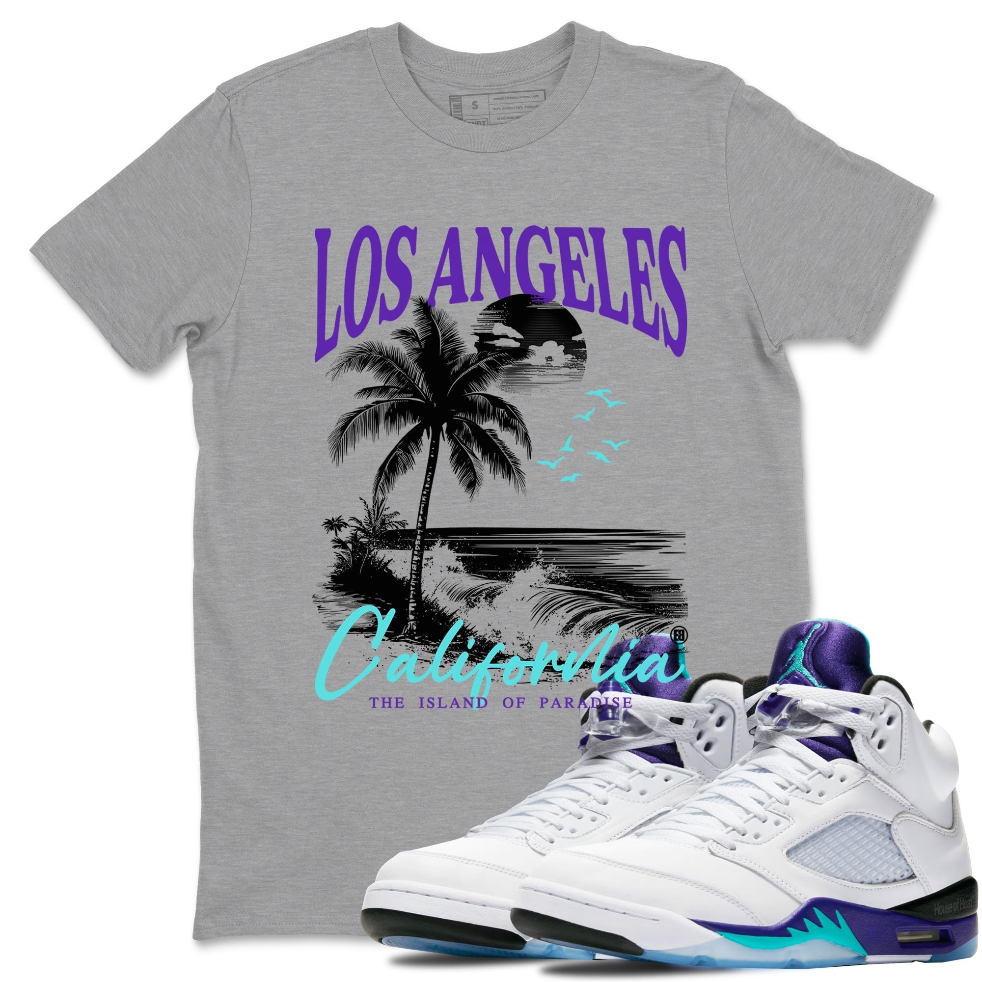 Los Angeles California snkmatch Tees - Air Jordan 5 Grape