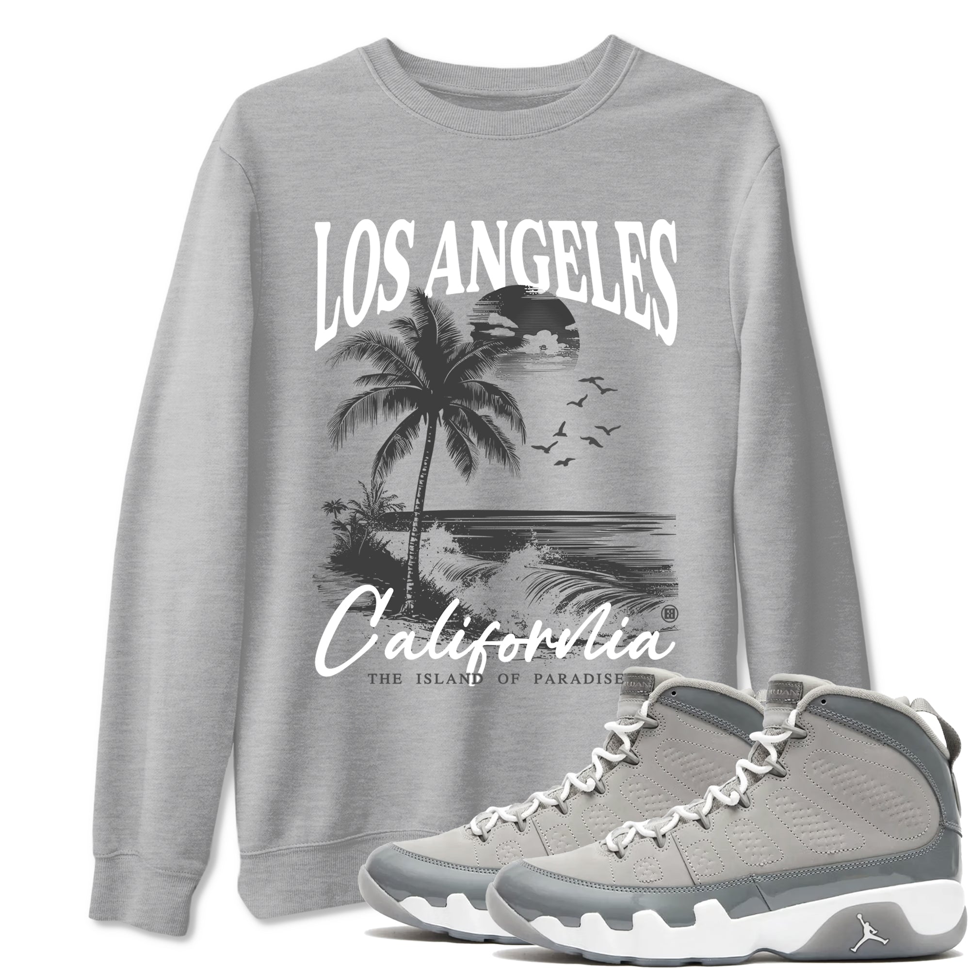 Los Angeles California snkmatch Tees - Air Jordan 9 Cool Grey