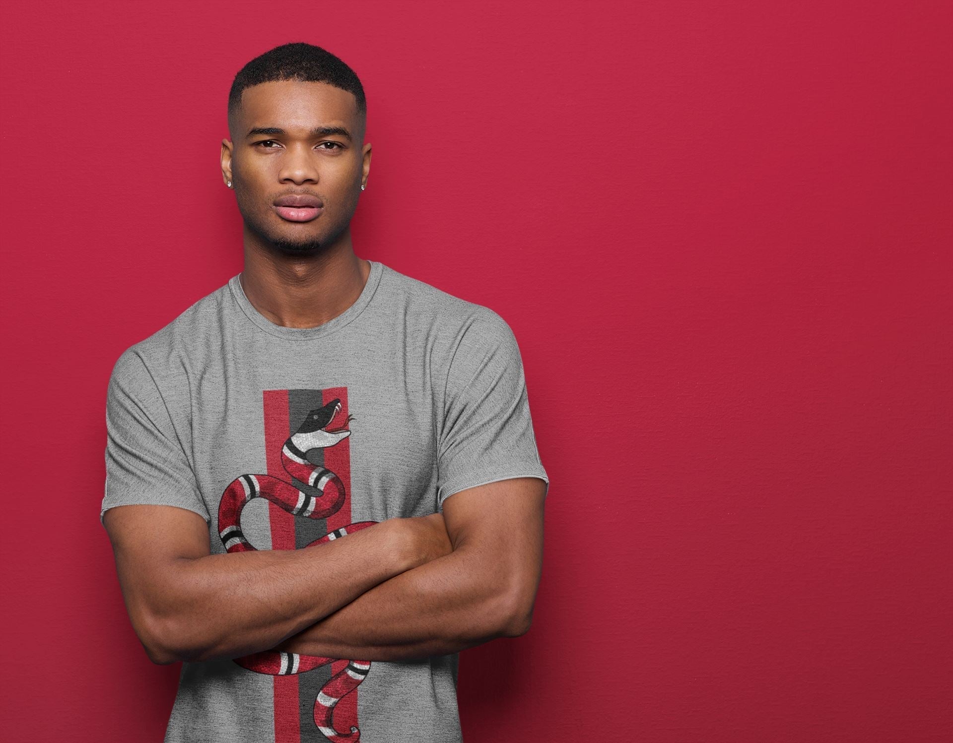 Snake Unisex Tops - Air Jordan 12 Reverse Flu Game