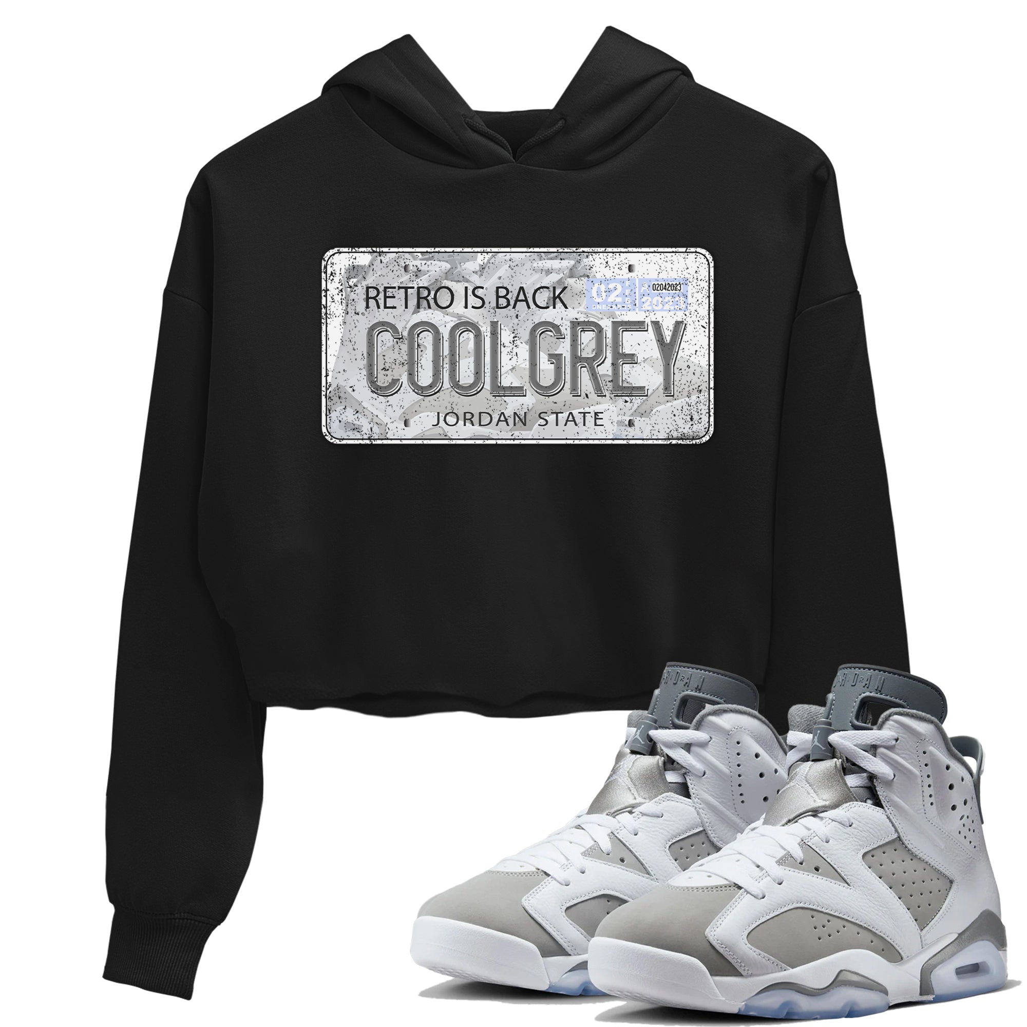 Jordan Plate Women's Tops - Air Jordan 6 Cool Grey
