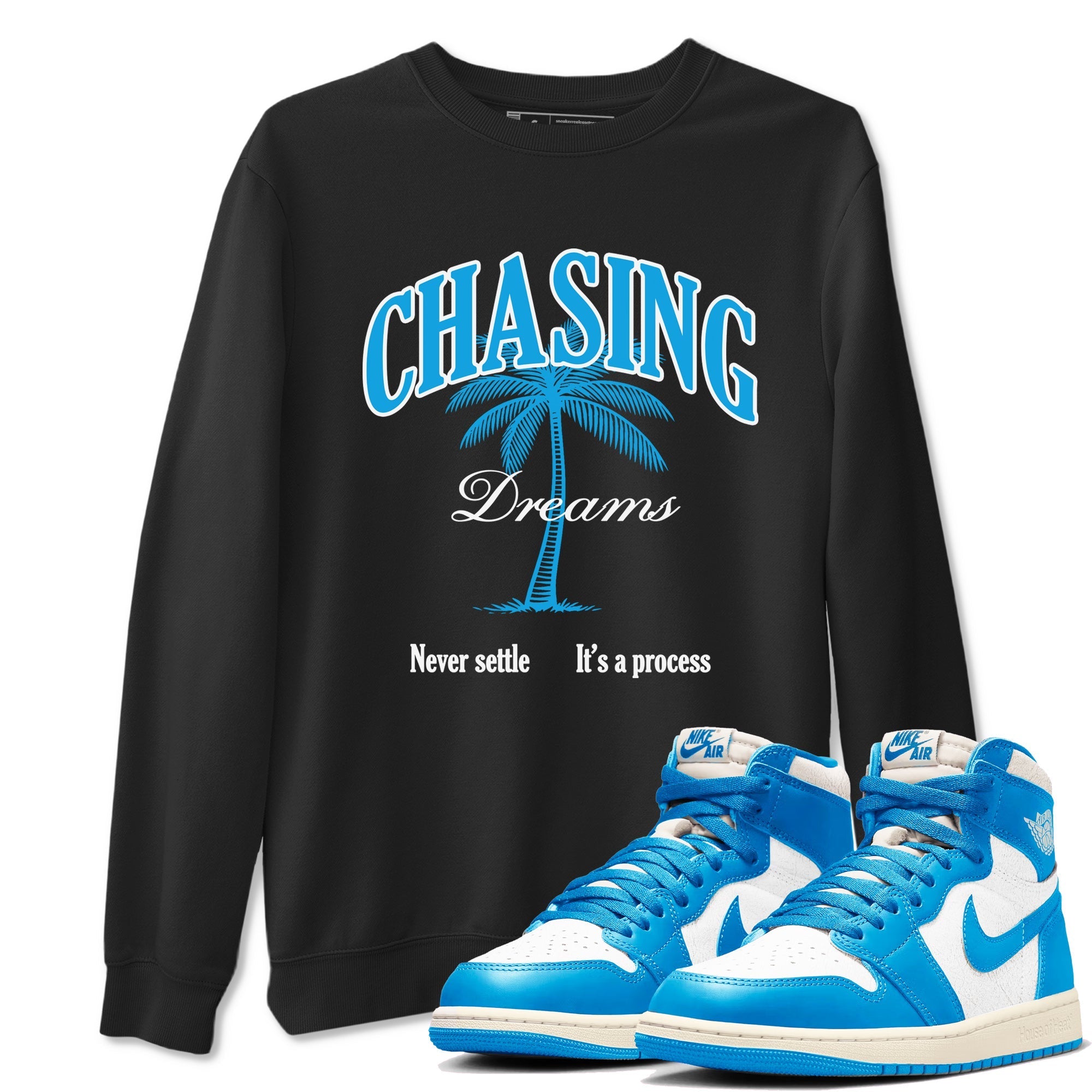 Chasing Dreams snkmatch Tees - Air Jordan 1 UNC Reimagined