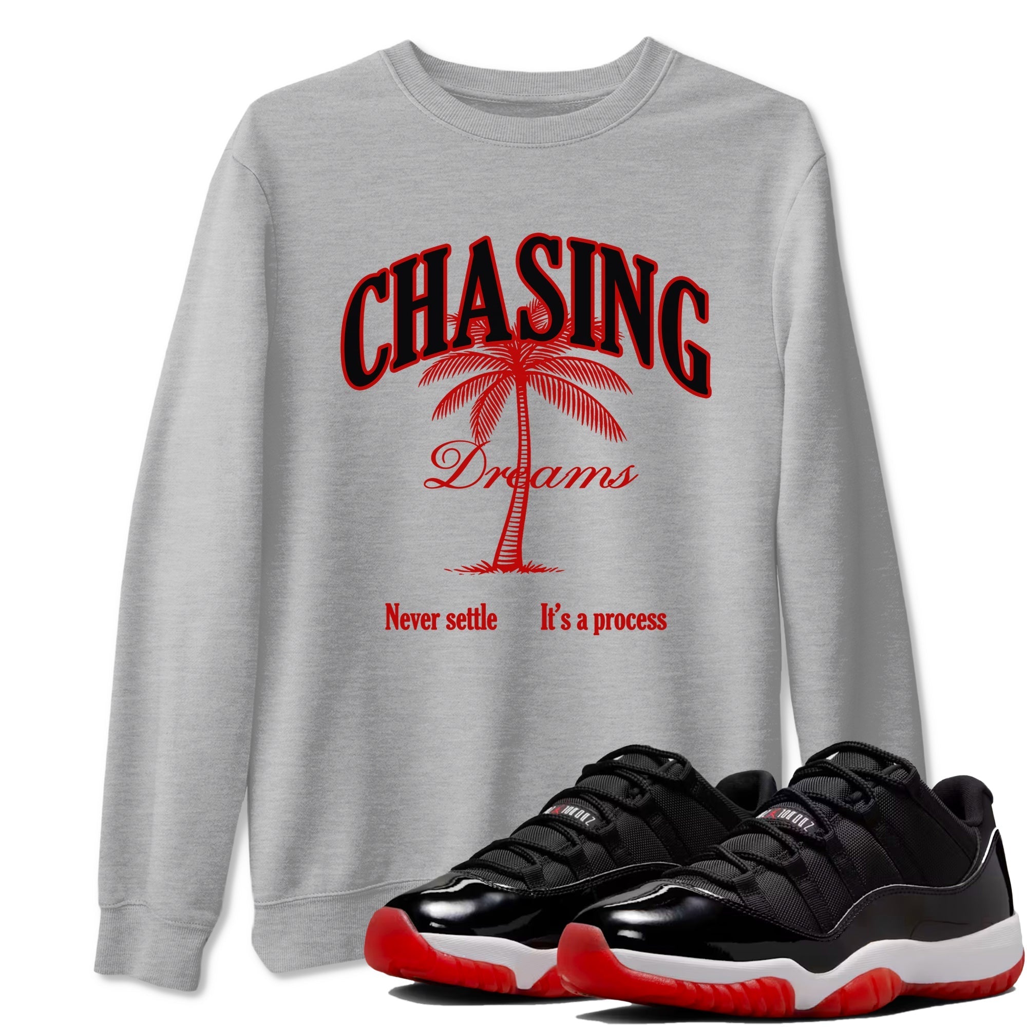 Chasing Dreams snkmatch Tees - Air Jordan 11 Bred