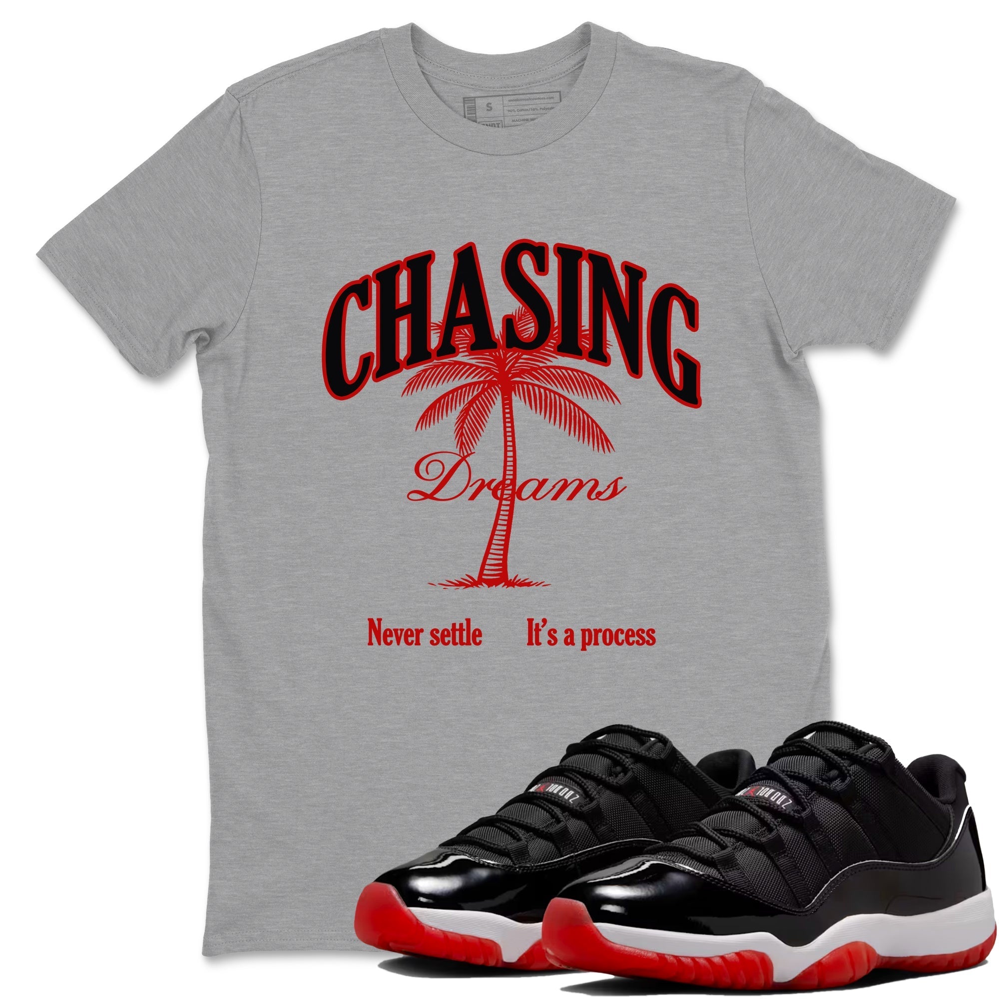 Chasing Dreams snkmatch Tees - Air Jordan 11 Bred