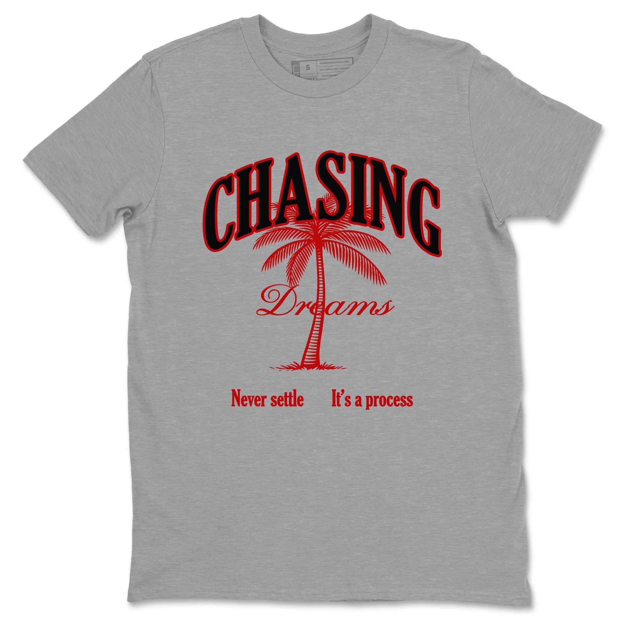 Chasing Dreams snkmatch Tees - Air Jordan 11 Bred