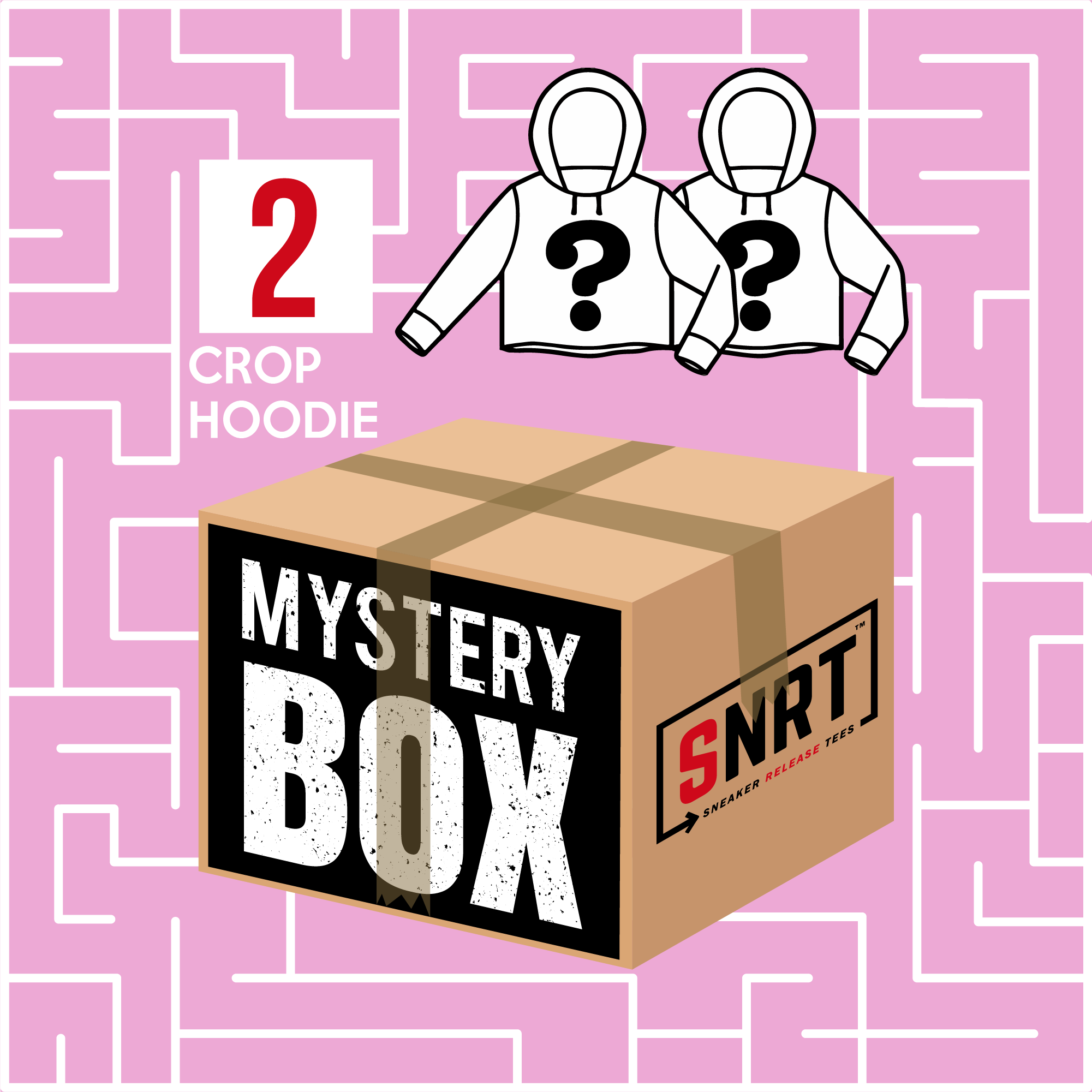 2 Crop Hoodies | Mystery Box 60% OFF