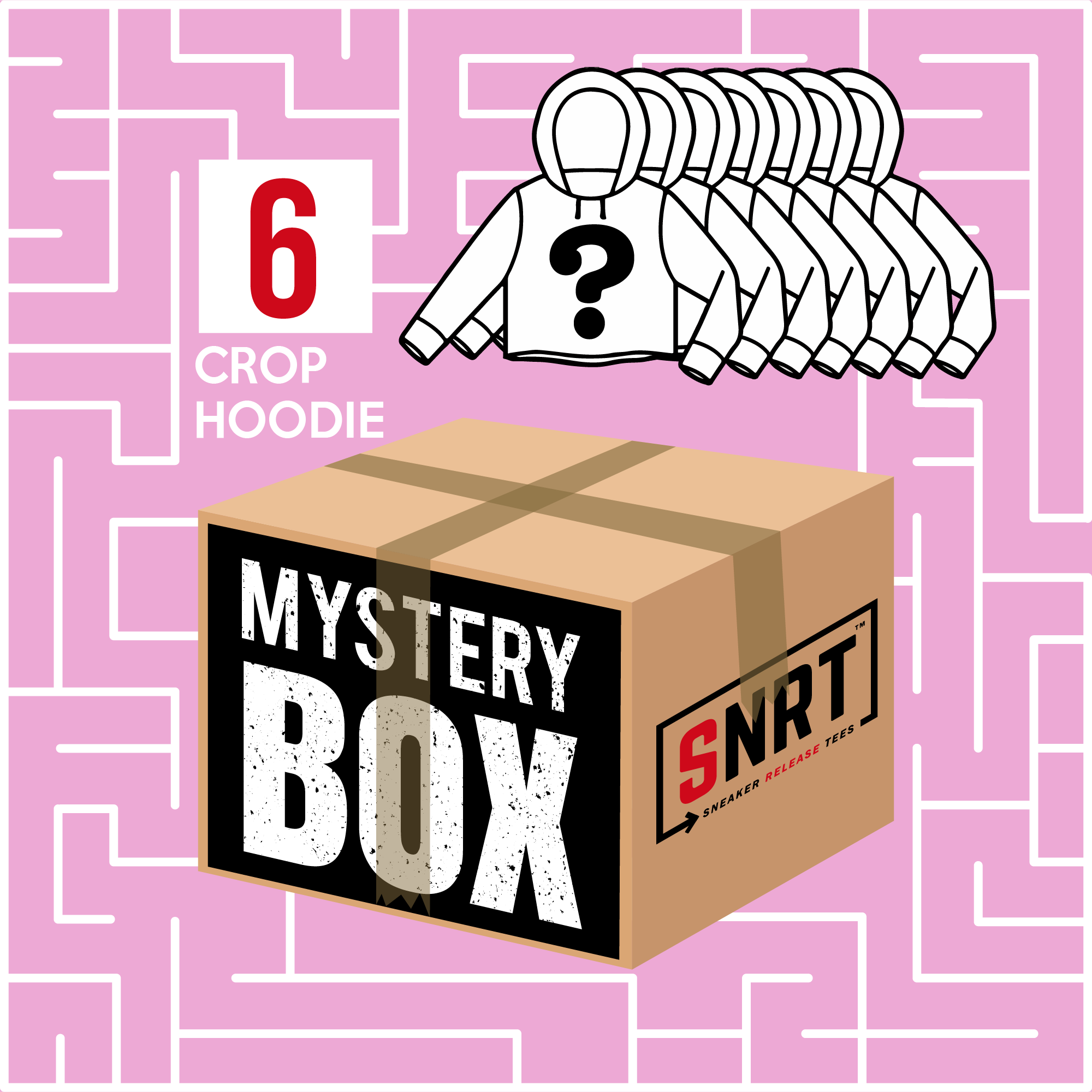 6 Crop Hoodies | Mystery Box 80% OFF