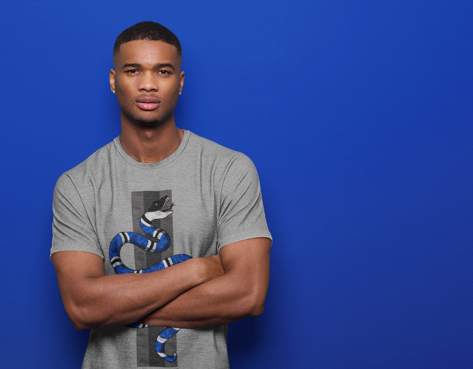 Snake Unisex Tops - Air Jordan 13 Hyper Royal